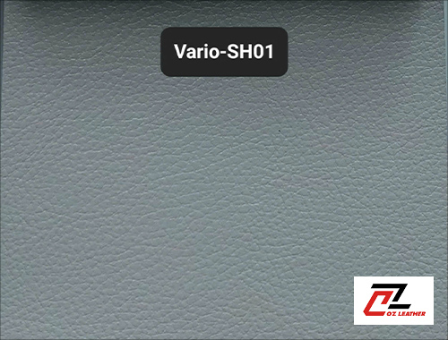 Da Vario